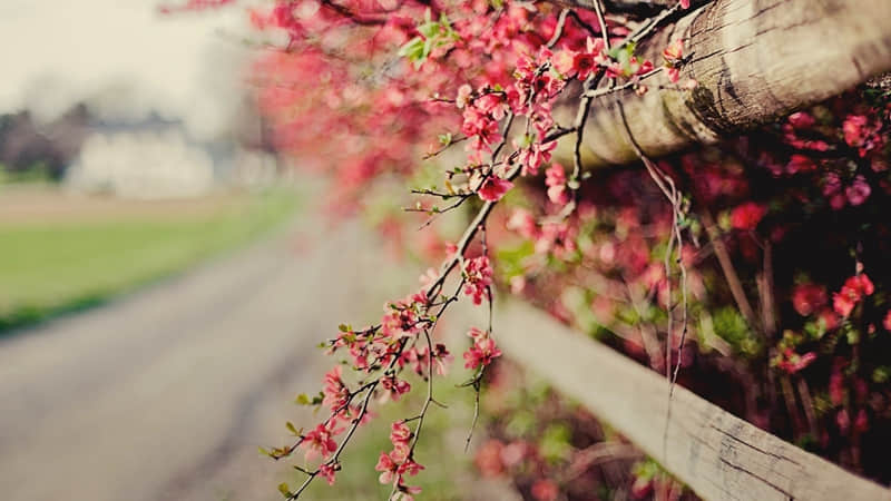 万圣节是什么节日是什么意思（万圣节是什么节日呀）