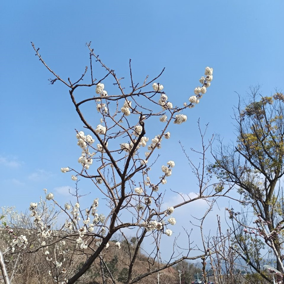 沉睡野人（沉睡野营地豆瓣）