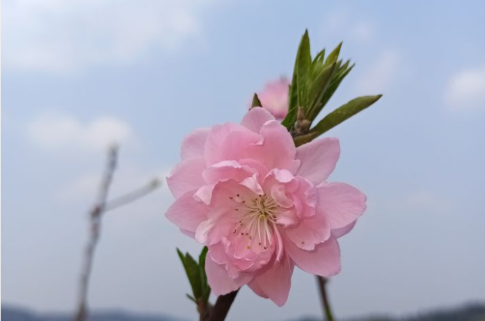 中餐的礼仪列举三条（中餐的礼仪列举三条基本原则）